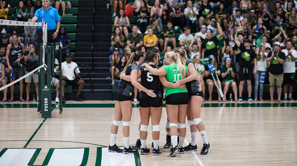 Volleyball team huddling